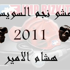 هشام الامير نجم السادات الجديد 2011