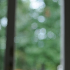 ดวงจันทร์ในดวงใจ