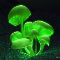 Shrooms
