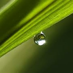 Selective Meditational Reasoning