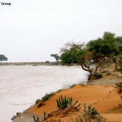 المقناص 4 ( خضرا والزبيرة ) حامد الضبعان 2012