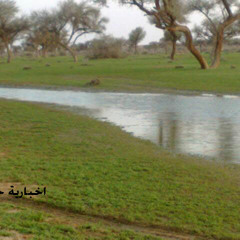 المقناص 4 ( ربيع قلبي ) حامد الضبعان 2012