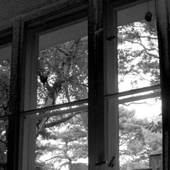 Weekend Warriors (Hypnotic Room 149)