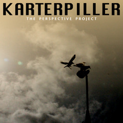 The Perspective Project (music loosely relating to consciousness & /or perception)