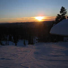 Trashold ft Matilda - Wont give up