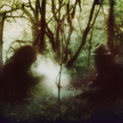 Wolves in the Throne Room - wolves in the throne room