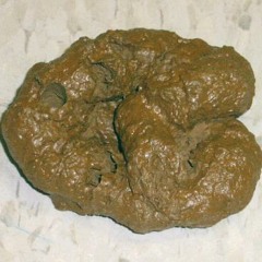 2 Flushes Ain't Enough