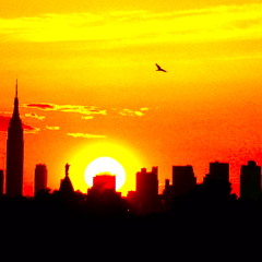 |Find.The.Shade| VOL II. (Live Set)