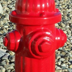The fire hydrant