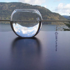 HEART SPACE feat. Anneka (Fraud Fix Remix)