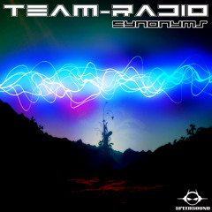 Team Radio - Lose Ground #UNR 2012