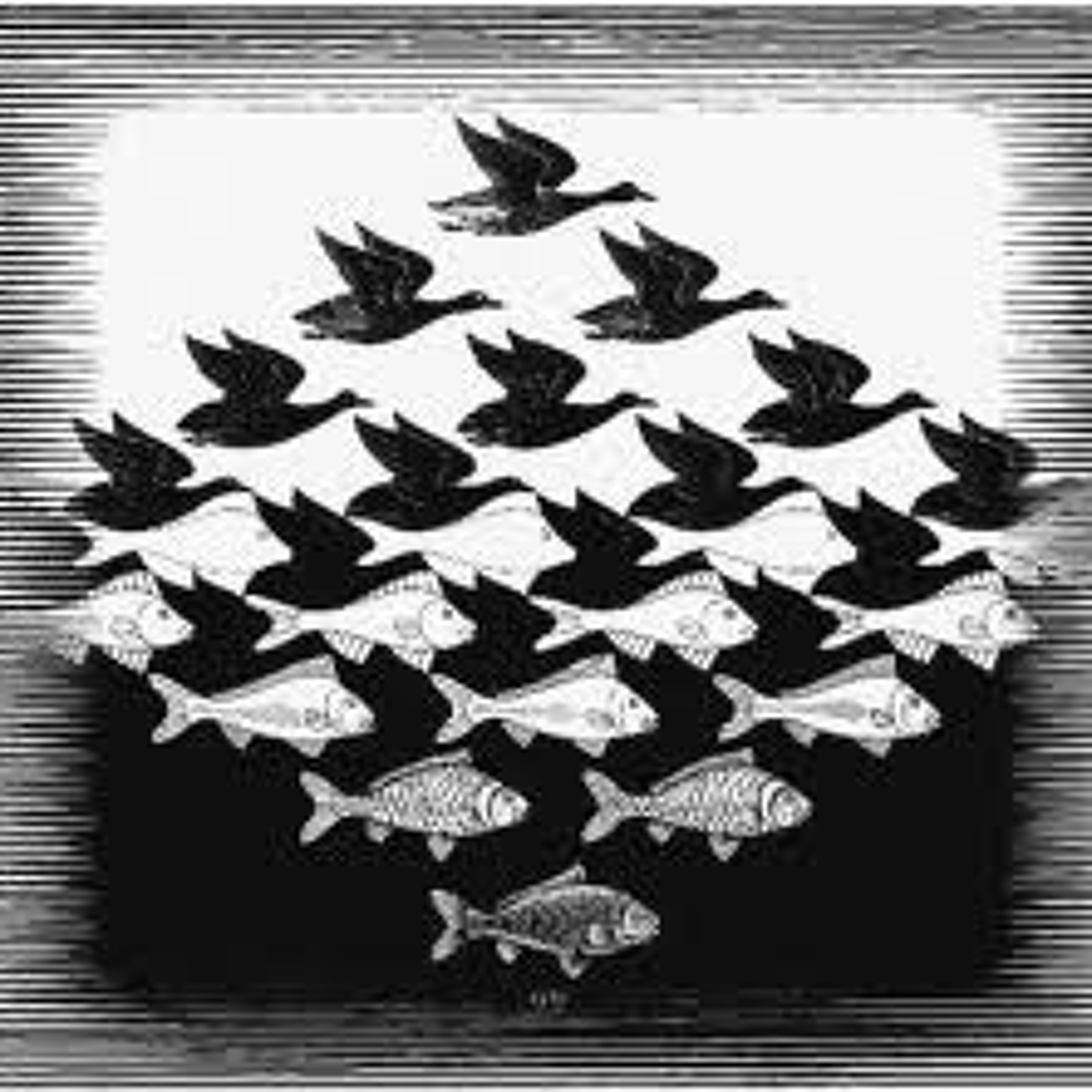 Metamorfosi episode artwork