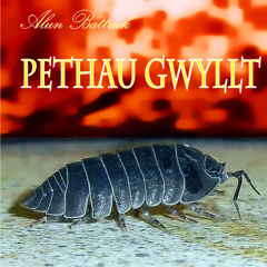 Pethau Gwyllt