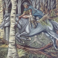 FunkaHolic - Nacht & Wind