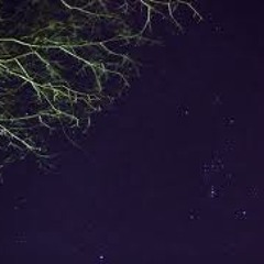 Serotonin