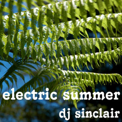 DJ Sinclair - Electric Summer - Dec 2011 - Live at bar up
