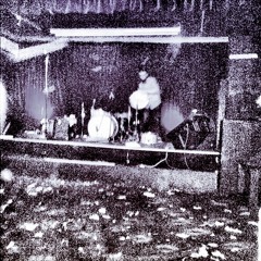 Plasms - 11 - Don't Think I Will (the Problem is that There's No Beer on the Stage, and Mi No Habla Espanol)