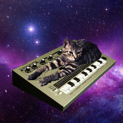 =^_R34L D0GZ L0V3 C4T$_^=