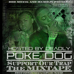 She Wanna Do It - POKE DOG ft. LEXX LUTHOR