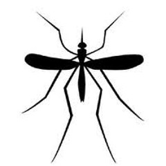 Mosquito Girl - The Dave Vegas Project