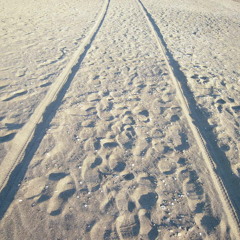 field recording/singing, winter seashore walk on Monday 20111205