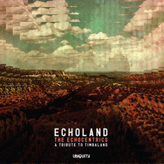 The Echocentrics - "Raise Up" (Echoland: A Tribute To Timbaland)