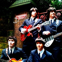 Beetles One - Roll Over Beethoven