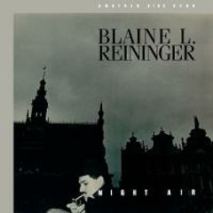 Blaine L Reininger - Mystery and Confusion