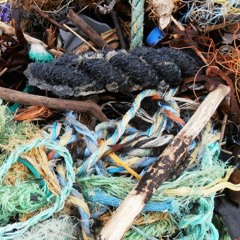 Pointing at Things for Pleasure and Profit