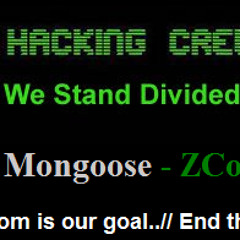 Z company Hacking crew 2