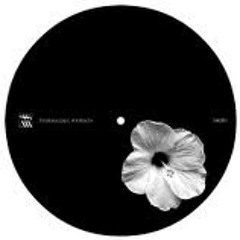 Lucy 'Why Don't You Change // Dub Man Walking' [SA001]