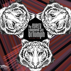 [a]pendics.shuffle - For Every Moment Of Triumph: Volume Two (Continuous DJ Mix)
