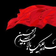 Mohammad Alizade - Halalam Kon