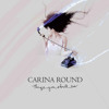carina-round-for-everything-a-reason-darksebastian