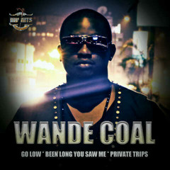 Wande Coal - Private Trips