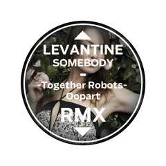 Levantine - Somebody (Together Robots Oopart RMX)