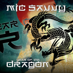 Mic Savvy - Gonna Get Through