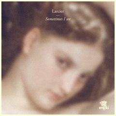 Larcier - Sometimes I See (vocal) [cracki001]