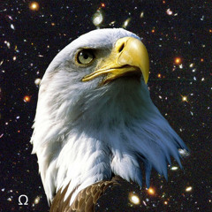 Eagles [Edit]