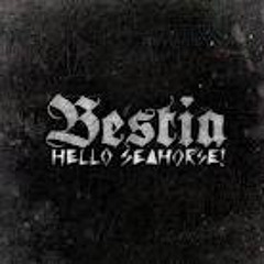Hello Seahorse at Bestia