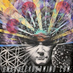 Sonic Bloom Artists 2013