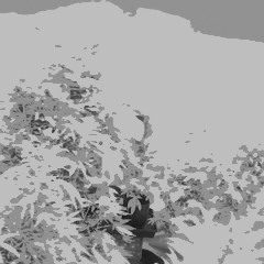 True to yourself - MAGIC.blur