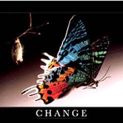 Metamorphosis