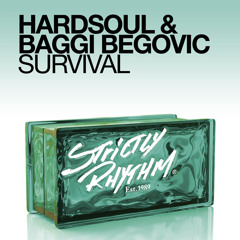 Hardsoul & Baggi Begovic - Survival (Robbie Taylor Iberican mix) SC EDIT