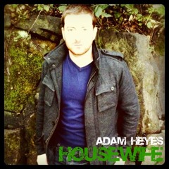 Housewife (Originally by Jay Brannan)