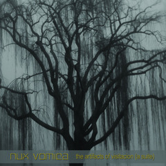 Nux Vomica - The Artifacts of Visitacion