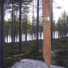 Pingviner kastar kniv