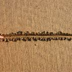 'Line In The Sand' Mix