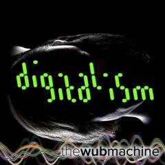 Digitalism In Cairo (Wub Machine Electro Remix)