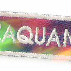 Smack missing lethal scientist (Double Z mashup)